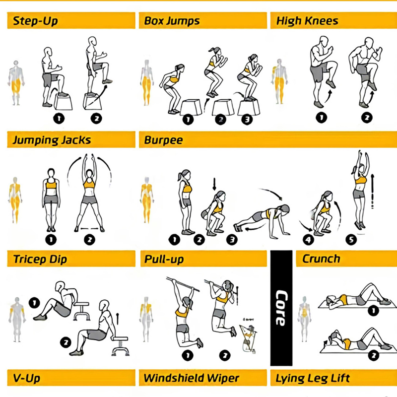 Workout Exercise Chart Posters - Sports Equipment Poster recension och pris