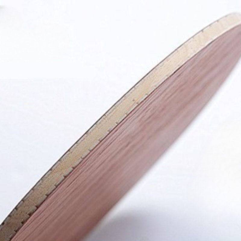 Professional Table Tennis Rack - Tennis Racket recension och pris